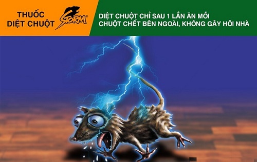 ƯU VÀ NHƯỢC ĐIỂM CỦA CÁCH BẪY CHUỘT BẰNG ĐIỆN
